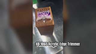 Wielofunkcyjny trymer do krawędzi XB1065